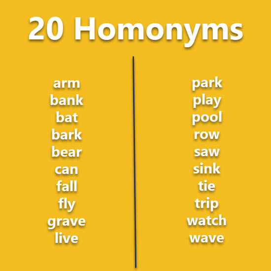 20 Homonyms