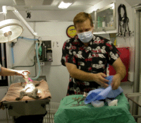 Dr. Jim in surgery