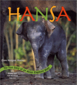 Hansa: The True Story of an Asian Elephant Baby by Clare Hodgson Meeker
